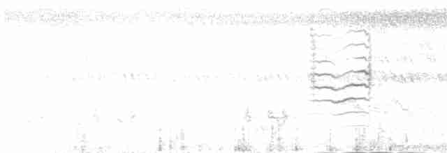 Саїманга довгохвоста - ML480143151