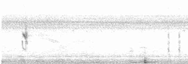 brunmaskevever - ML480143161