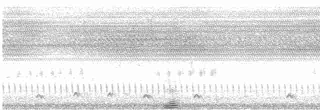 Дрімлюга нубійський - ML480179121