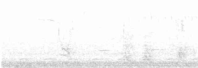 Chalk-browed Mockingbird - ML480184811