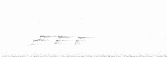 Aigle montagnard - ML480186321