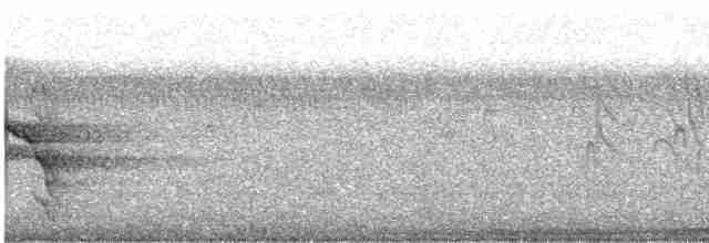 Шилоклювый дятел (auratus/luteus) - ML480190891