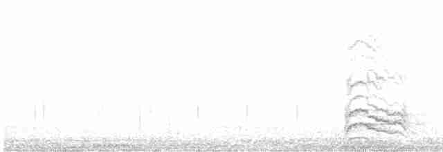 Geai des pinèdes - ML480222531