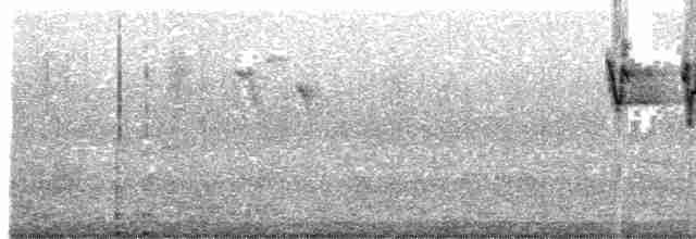 Gray-sided Bush Warbler - ML480230041