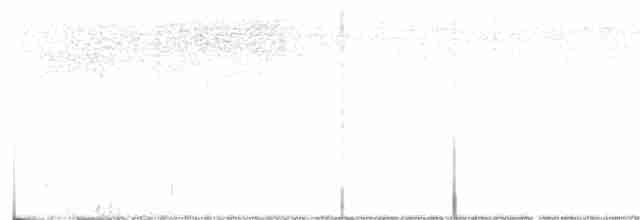 Kentucky Warbler - ML480235041