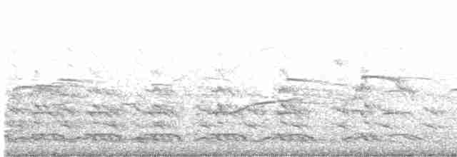 キバラメジロハエトリ - ML480262351