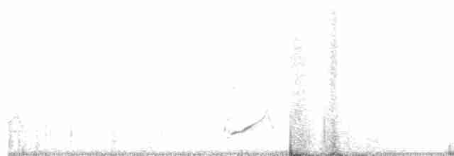 Wüstenspottdrossel (lecontei/macmillanorum) - ML480265591