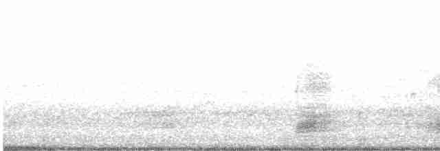 綠頭鴨(馴化) - ML480339361