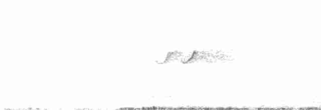 Улит-отшельник - ML480350941