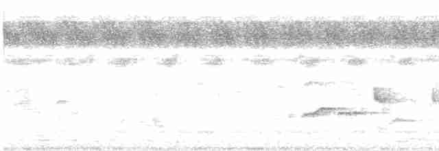 gråpannegrønndue - ML480375141
