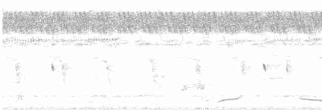 holub fialovoramenný - ML480377281