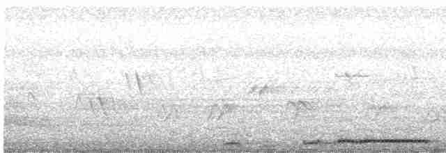 hrdlička kropenatá - ML480394791