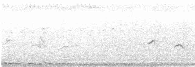 Habeş Nektarkuşu (hellmayri/kinneari) - ML480413891