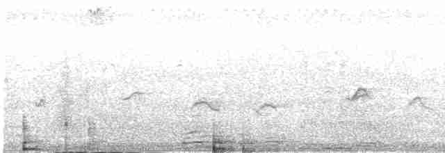 Habeş Nektarkuşu (hellmayri/kinneari) - ML480413901