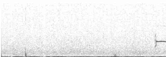 Pluvier grand-gravelot - ML480415981