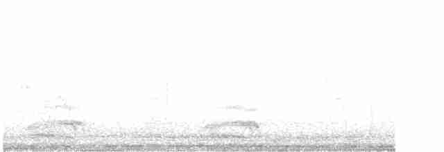 krkavec krátkoocasý - ML480417091