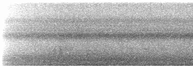 Личинкоїд сірий - ML480423191