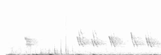 ムラサキツバメ（hesperia） - ML480454331