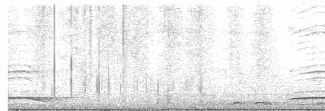Ошейниковый лесной сокол - ML480455471