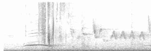 Collared Forest-Falcon - ML480455841