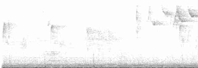 Paruline noir et blanc - ML480511121