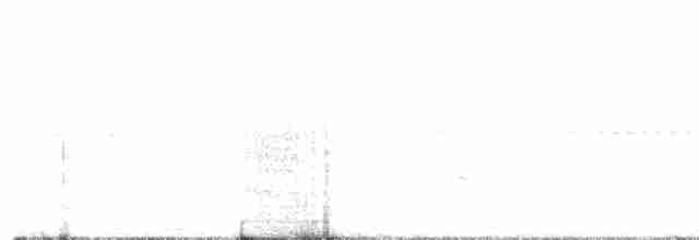 White-shouldered Fire-eye - ML480526301