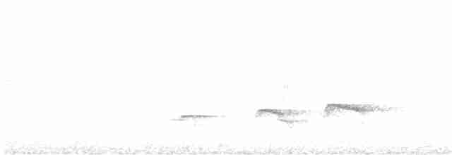 Мурашниця кундинамарська - ML480527771