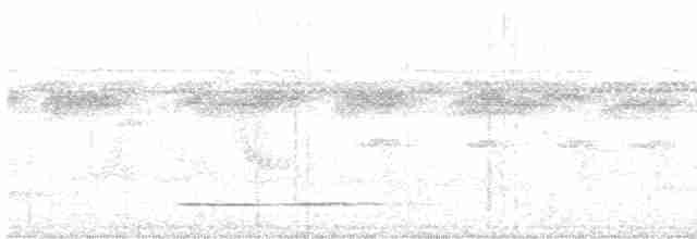Tinamou cannelle (groupe cinnamomeus) - ML480660841
