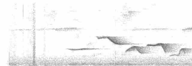 Spot-breasted Wren - ML480661411