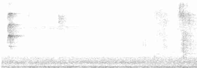 Gray Fantail (alisteri) - ML480682081