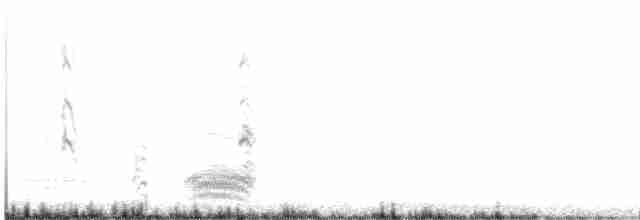 Малая тиркушка - ML480701071