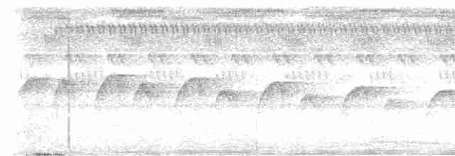 Мурав’янка-куцохвіст гвіанська - ML480794201