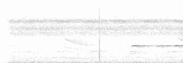 Strichelschulter-Ameisenschnäpper - ML480794811