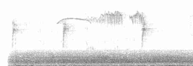 Bruant à couronne blanche (gambelii) - ML480847151