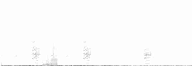 karančo jižní (ssp. plancus) - ML480868351