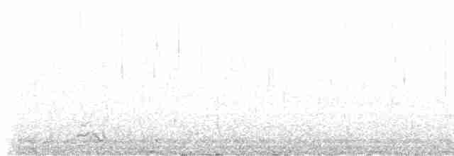 Lagopède à queue blanche - ML480895131