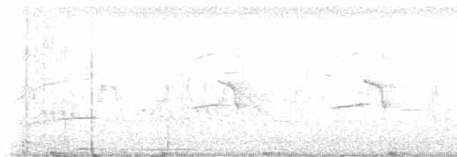 Gartenspottdrossel - ML480896111