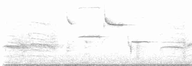 Гаїчка каролінська - ML480897541