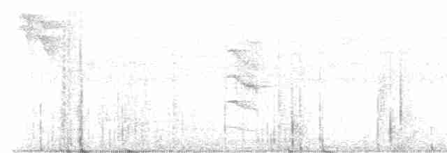 Kozumel Vireosu - ML480968731