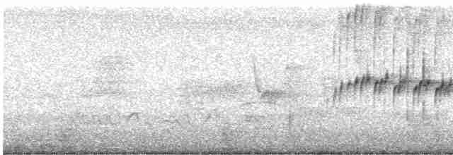 Güneyli Bıyıksız Tiranulet - ML480970061