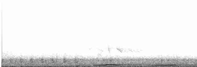 holub světlebřichý - ML480970671