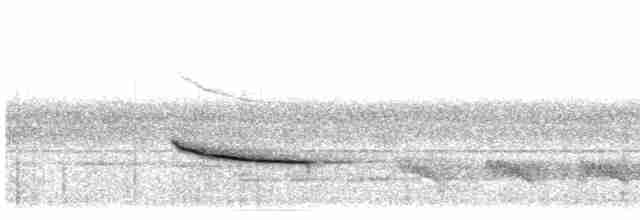 Турдинула короткохвоста - ML480977451