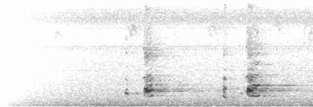 פנינית הקסדה (פליטת תרבות) - ML481117001