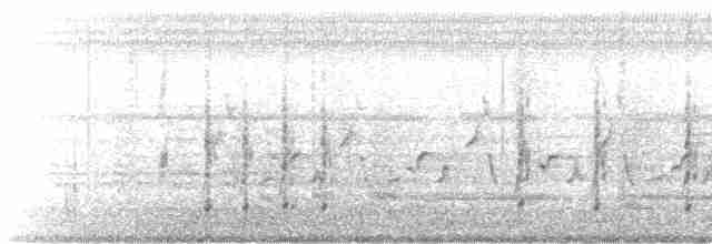 פנינית הקסדה (פליטת תרבות) - ML481118261