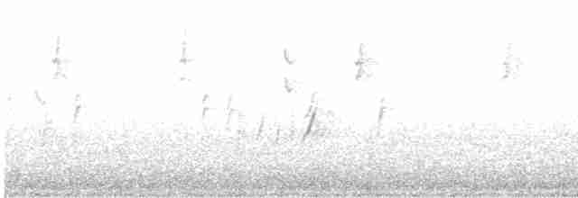 Common Wood-Pigeon - ML481170741
