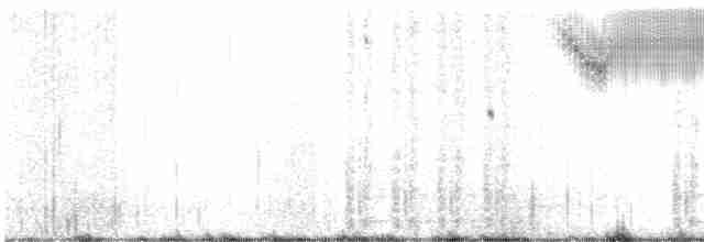 Çekirge Sesli Çayır Serçesi - ML481193661
