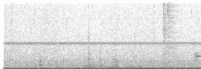 Лінивка-смугохвіст чорнощока - ML481224311