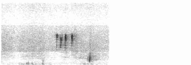 Plectrophane de Smith - ML481252221
