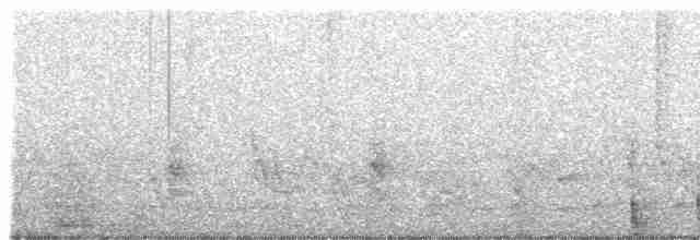 Mahali à sourcils blancs (pectoralis) - ML481317741