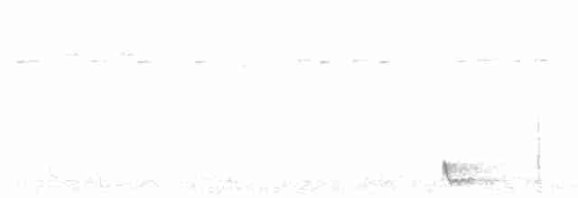 Large-tailed Nightjar - ML481405981